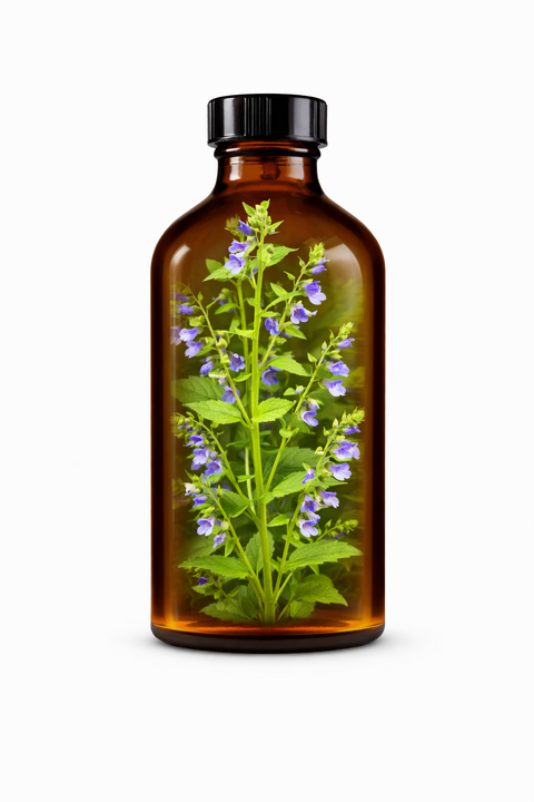 Scutellaria lateriflora herba - Mad-dog Skullcap leaf & flower