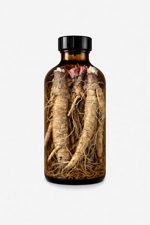 Arctium lappa radix - Greater Burdock root