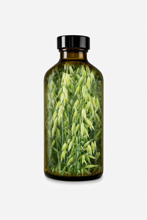 Avena sativa herba - Milky Oat tops