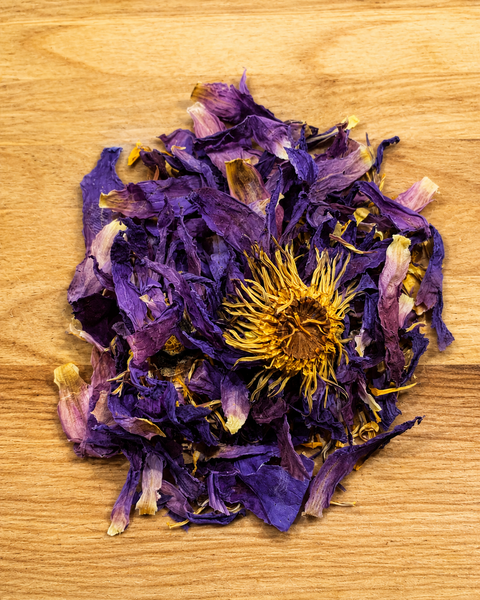 Blue Lotus Flower