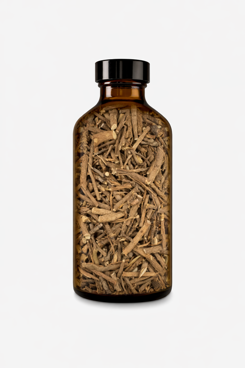 Bupleurum chinense radix - Thorowax (chaí hú) root