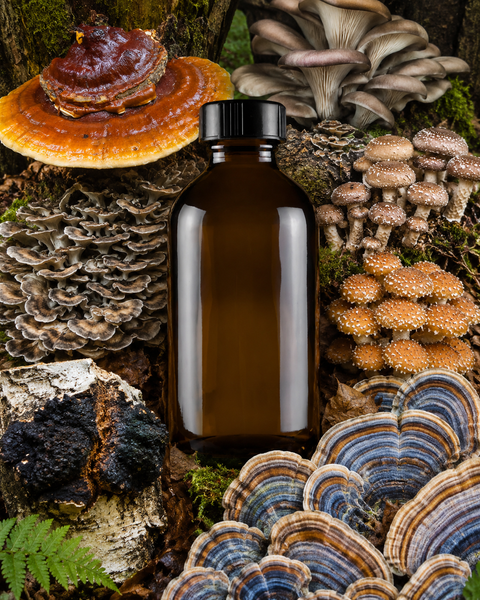 Deep Immune Regeneration