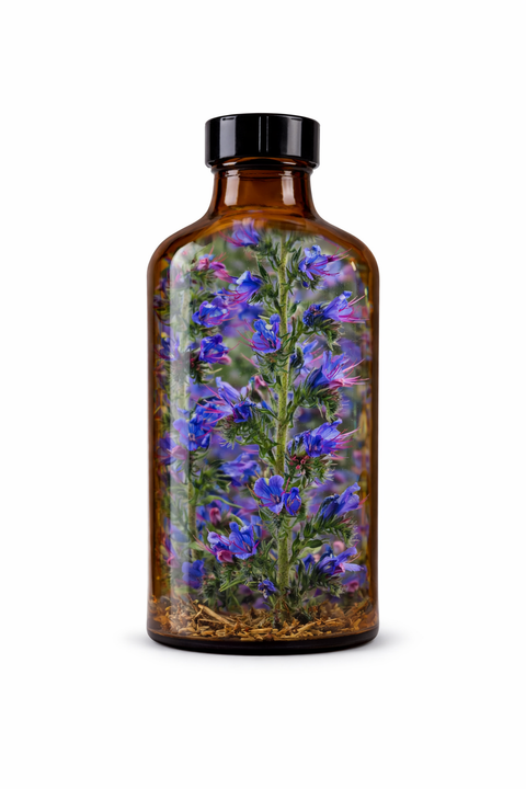 Echium vulgare herba - Viper's-bugloss leaf & flower