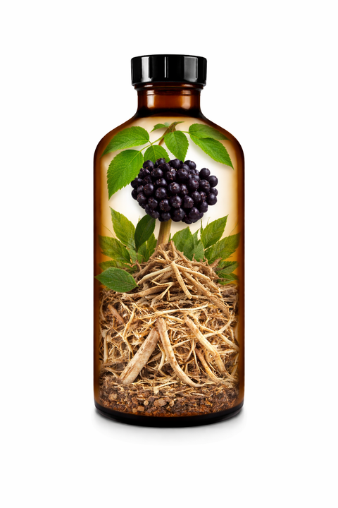 Eleutherococcus senticosus radix - Siberian Ginseng root