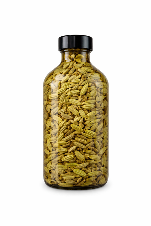 Foeniculum vulgare semen - Fennel seed