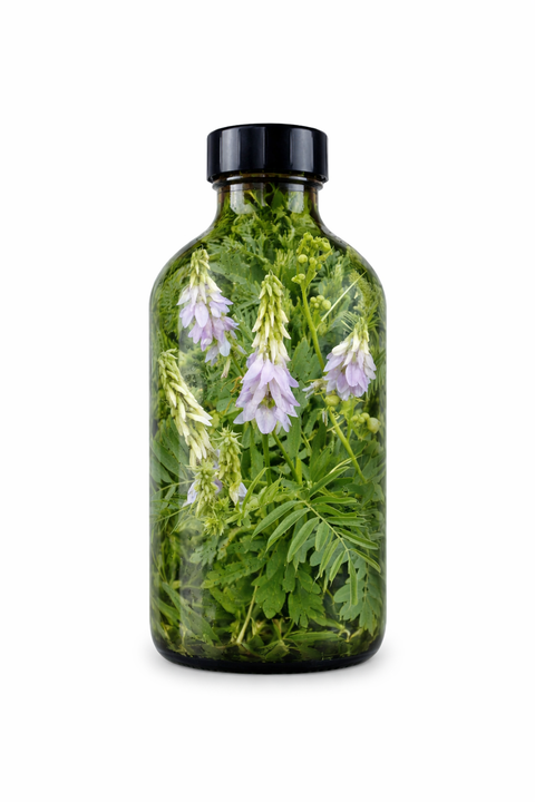 Galega officinalis herba - Goat's Rue herb