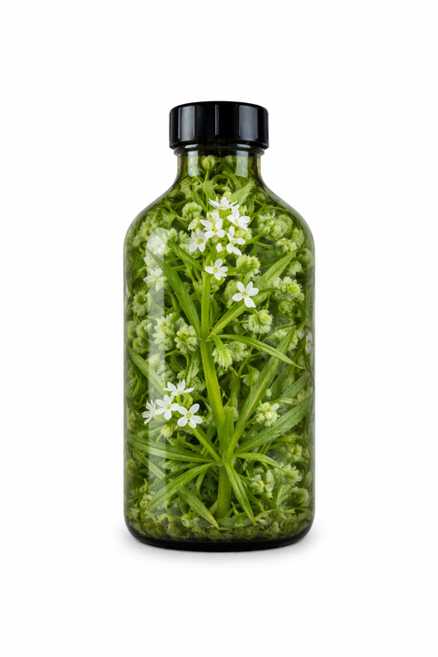 Galium aparine herba - Cleavers herb