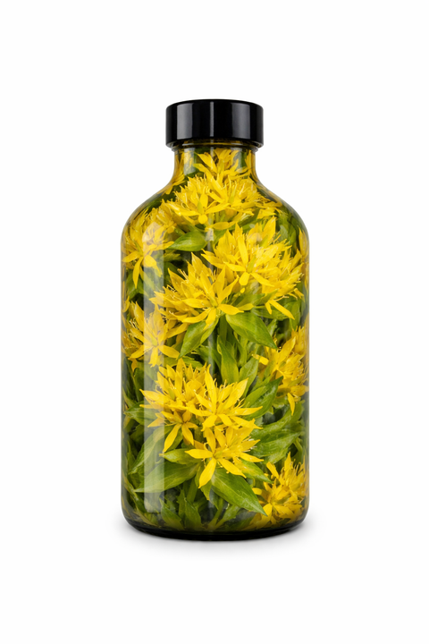 Gentiana lutea radix - Great Yellow Gentian root