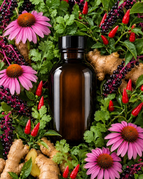 Heavy Metal Detoxification
