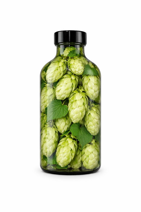 Humulus lupulus strobilus - Hops Strobilus
