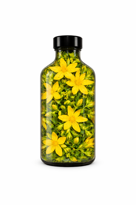 Hypericum perforatum herba - St. John's Wort leaf & flower