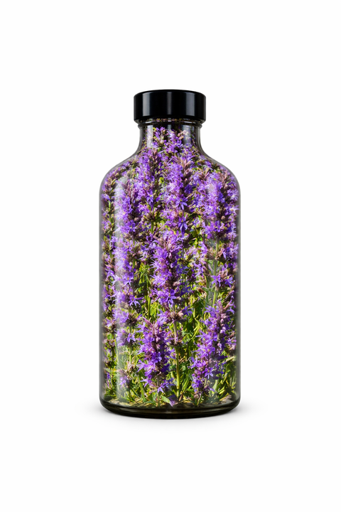 Hyssopus officinalis herba - Hyssop leaf & flower