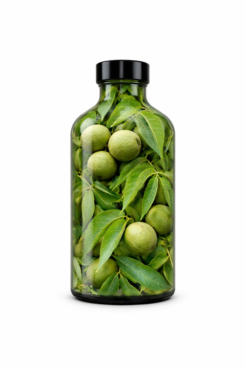 Juglans nigra fructus - Black Walnut fruit