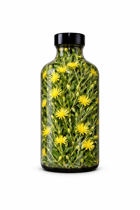 Lactuca virosa herba - Bitter Lettuce herb
