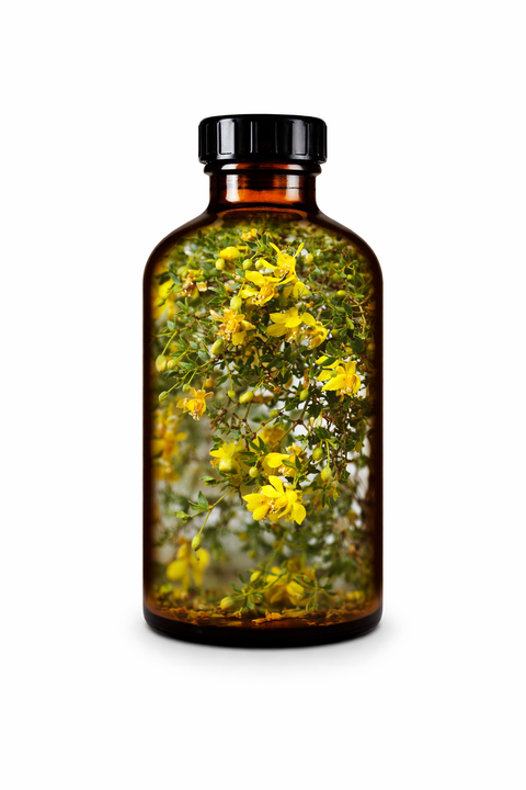 Larrea tridentata herba - Chaparral herb