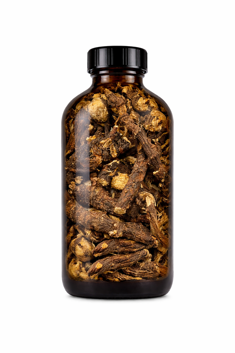 Ligusticum porteri radix - Osha root
