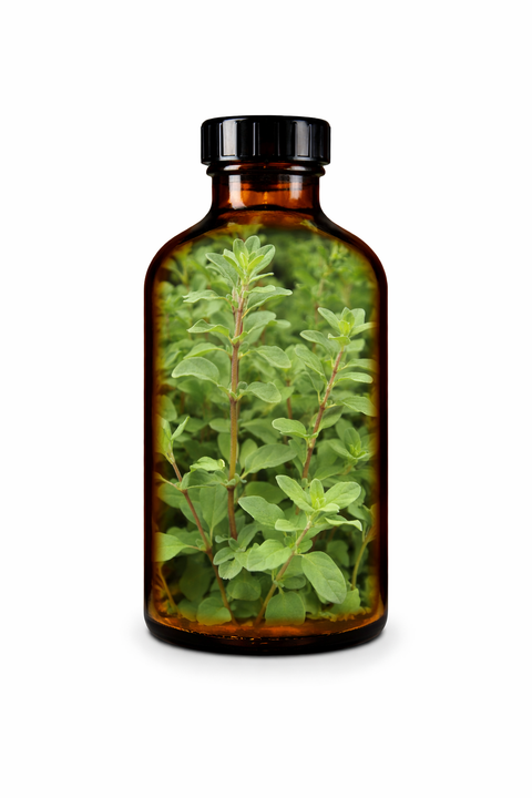 Origanum majorana herba - Marjoram herb