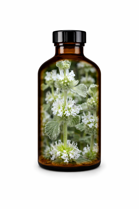 Marrubium vulgare herba - White Horehound herb