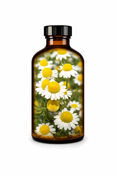 Matricaria recutita flos - German Chamomile flower