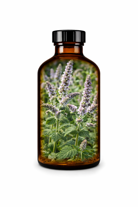 Mentha spicata herba - Spearmint leaf & flower