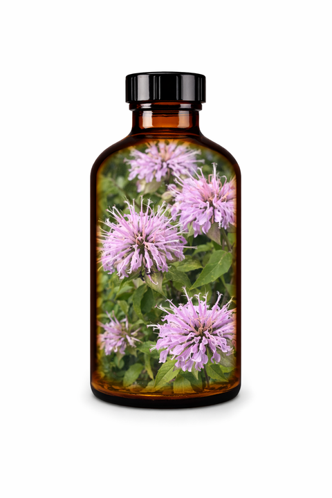 Monarda fistulosa herba - Wild Bergamot leaf & flower