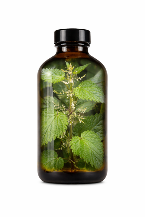 Urtica dioica herba - Stinging Nettle leaf & seed