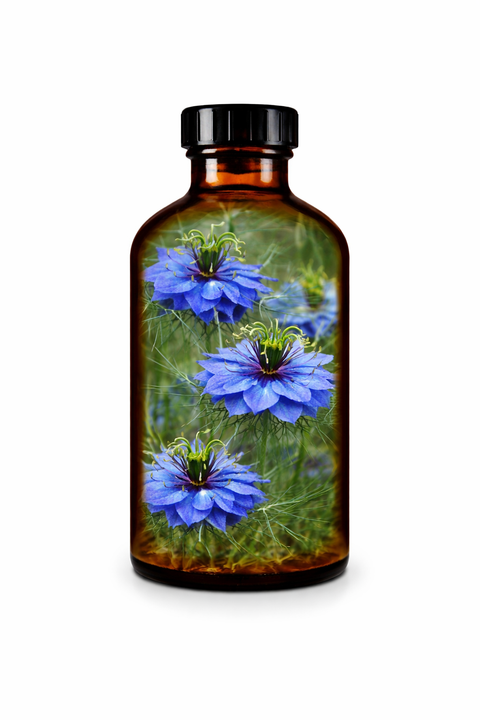 Nigella sativa semen - Black Cumin seed