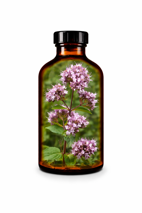 Origanum vulgare herba - Oregano leaf & flower