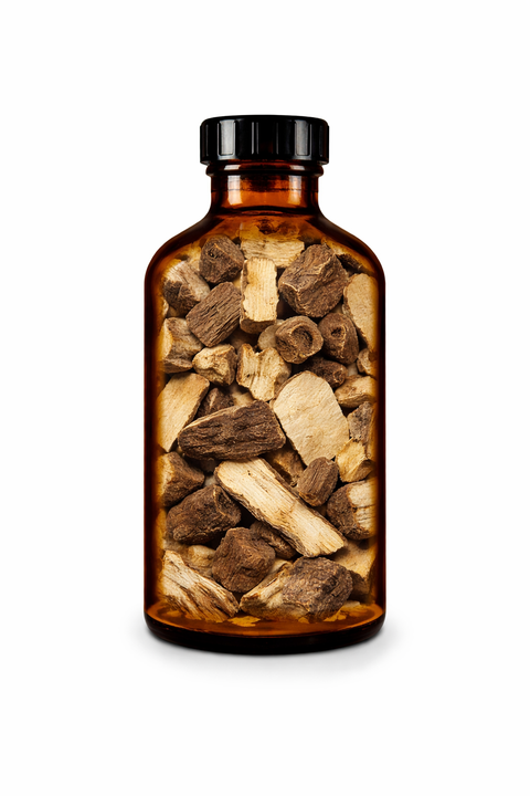Polygonum cuspidatum radix - Japanese Knotweed root