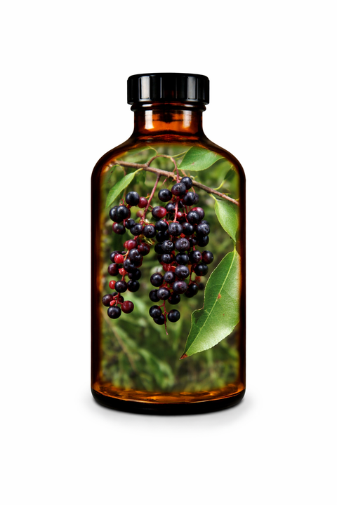 Prunus serotina cortex - Black Cherry bark