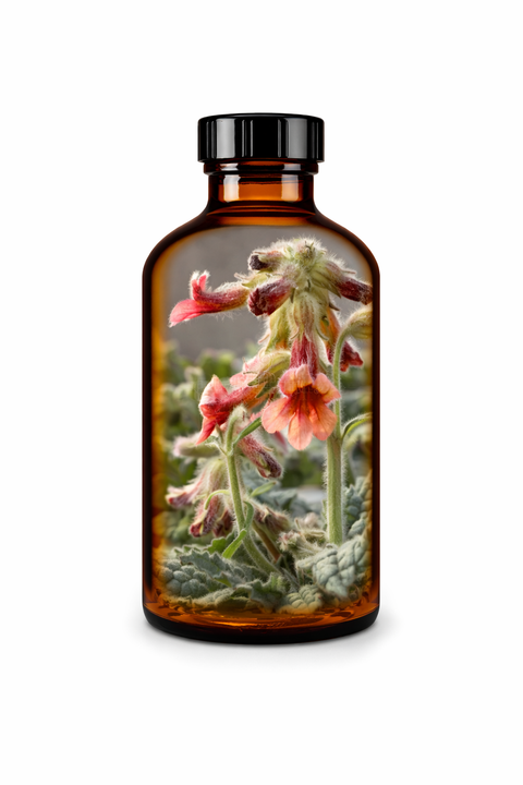 Rehmannia gultinosa radix - Rehmannia root