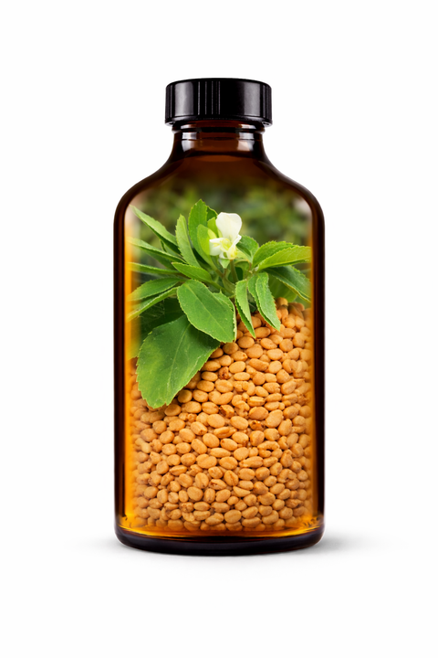 Trigonella foenum-graceum semen - Fenugreek seed