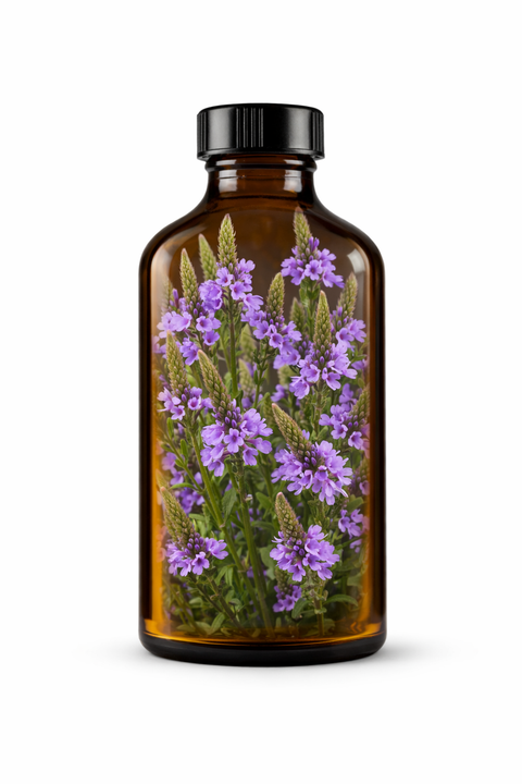 Verbena hastata herba - Blue Vervain leaf & flower
