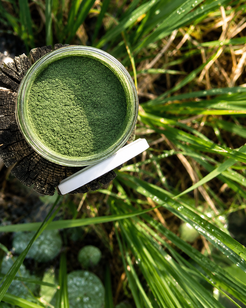 Vibrant Nutrients Super Blend