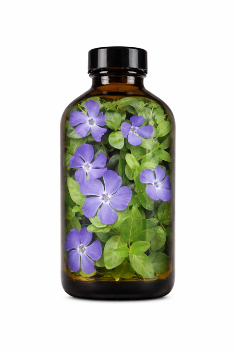 Vinca minor herba - Periwinkle leaf & flower